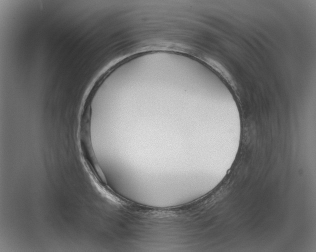 X0000082141136200702162136