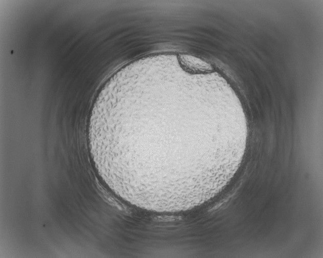 X0000082141137200702162136