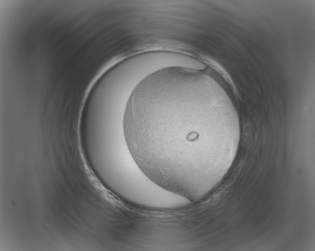 X0000082141138200702162136