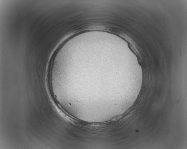 X0000082141139200702162136