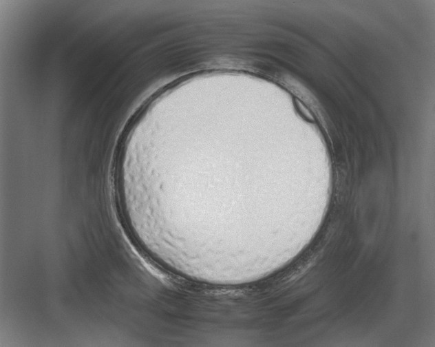 X0000082141141200702162136