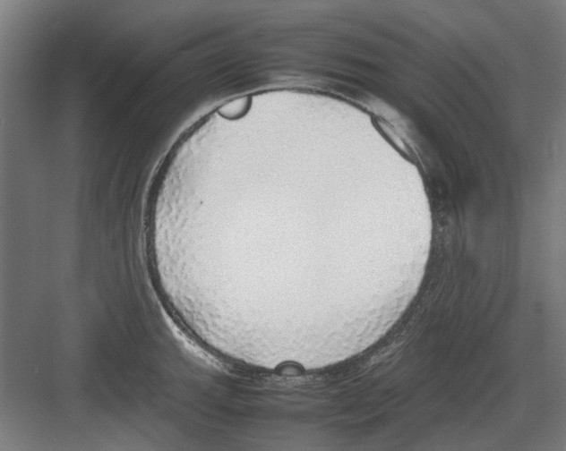 X0000082141143200702162136