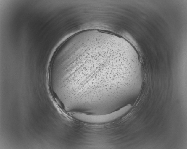 X0000082141144200702162136