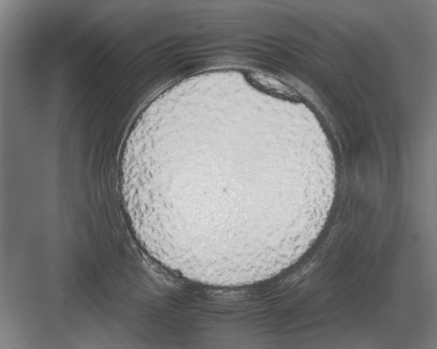 X0000082141145200702162136