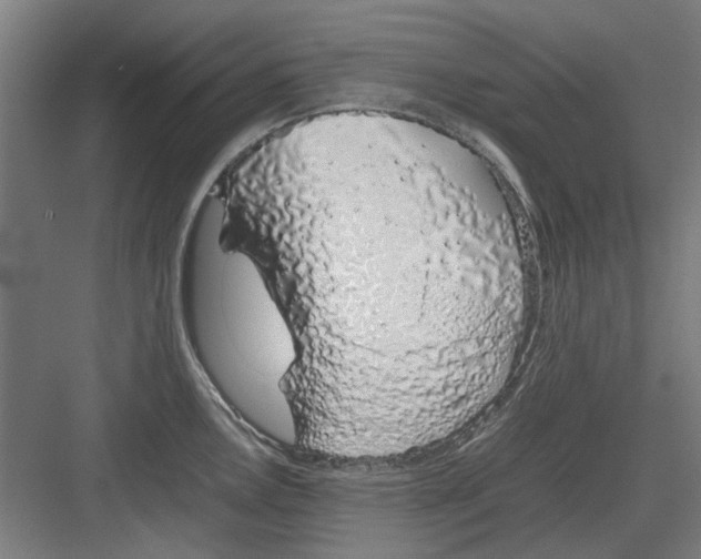 X0000082141146200702162136