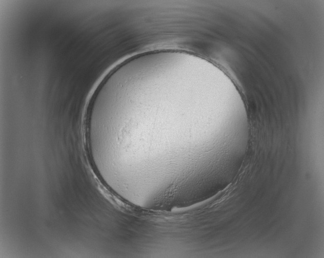 X0000082141148200702162136