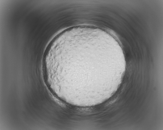 X0000082141149200702162136