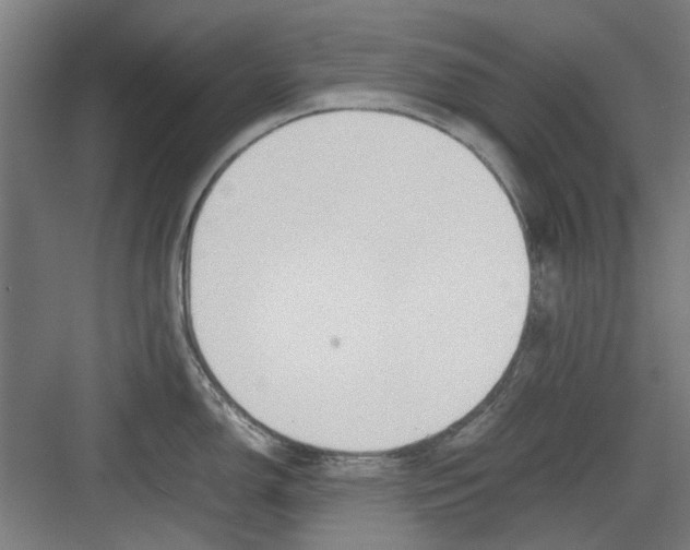 X0000082141150200702162136