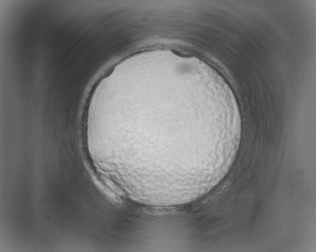 X0000082141152200702162136