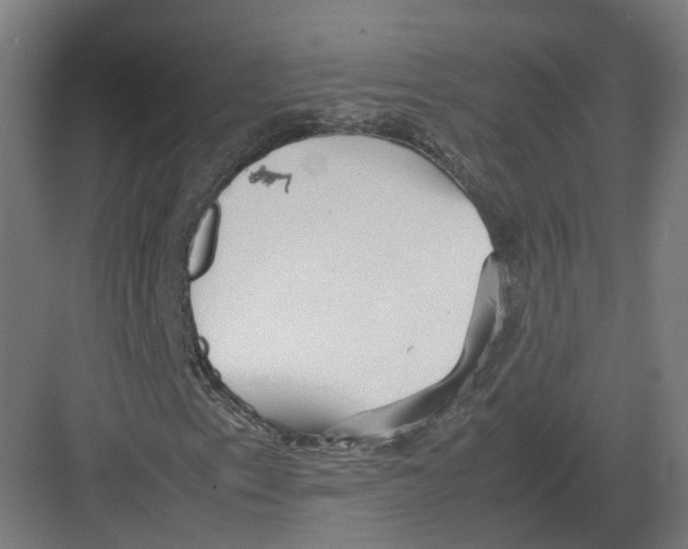 X0000082141153200702162135