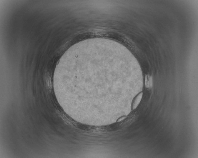 X0000082141155200702162135