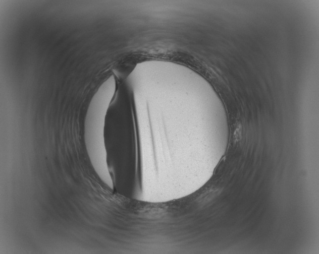 X0000082141156200702162135