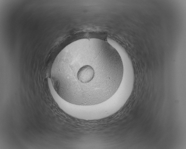 X0000082141157200702162135