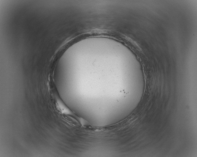 X0000082141160200702162135