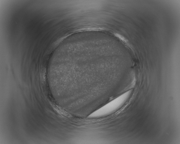 X0000082141161200702162135