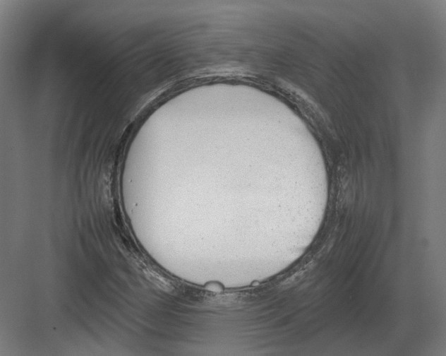 X0000082141162200702162135