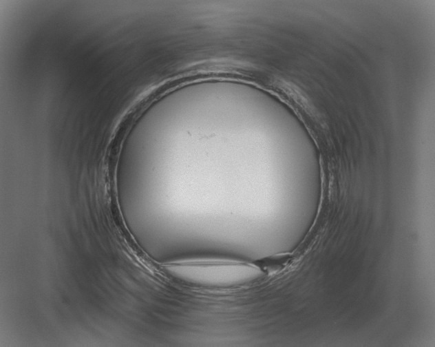 X0000082141164200702162135