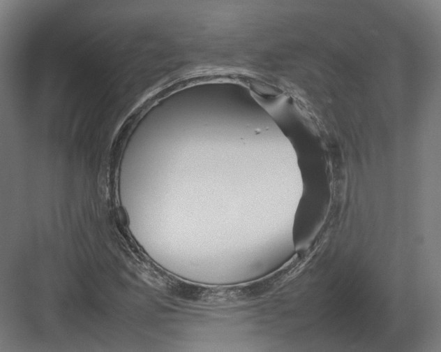 X0000082141165200702162135