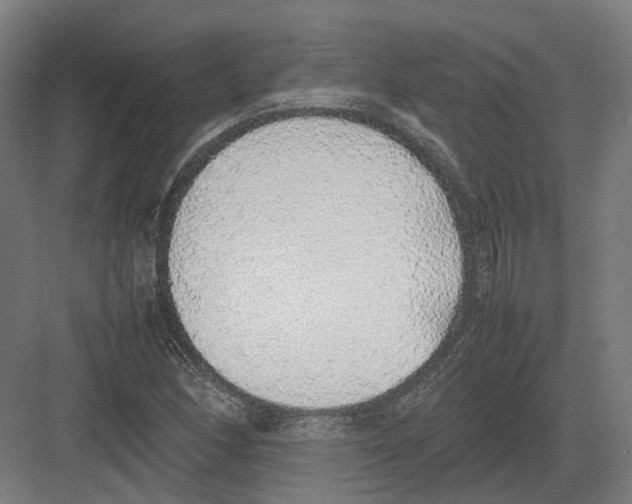 X0000082141166200702162135