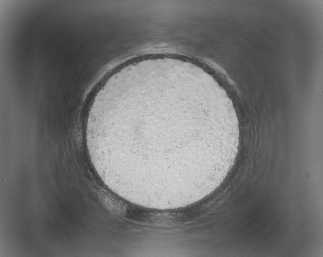 X0000082141167200702162135