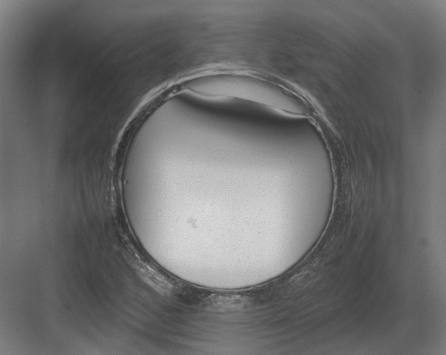 X0000082141168200702162135