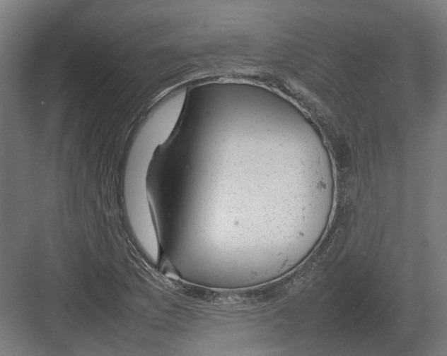 X0000082141169200702162135