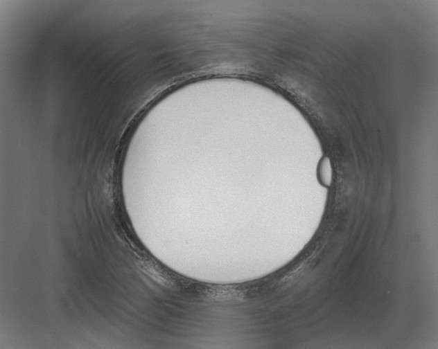 X0000082141170200702162135