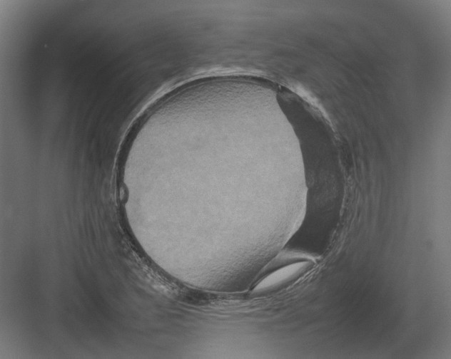 X0000082141173200702162135