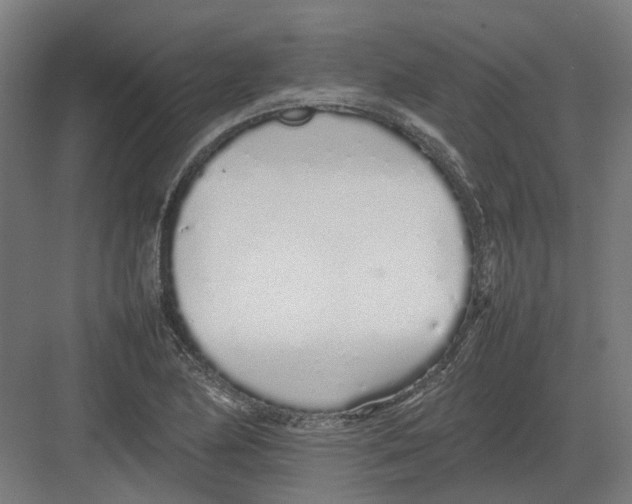 X0000082141174200702162135