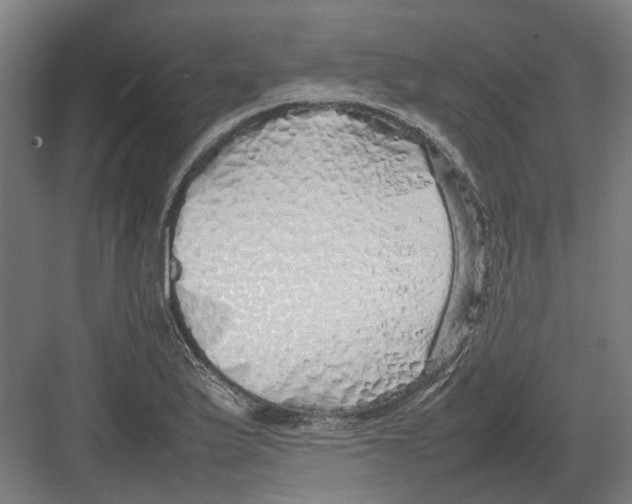 X0000082141175200702162135