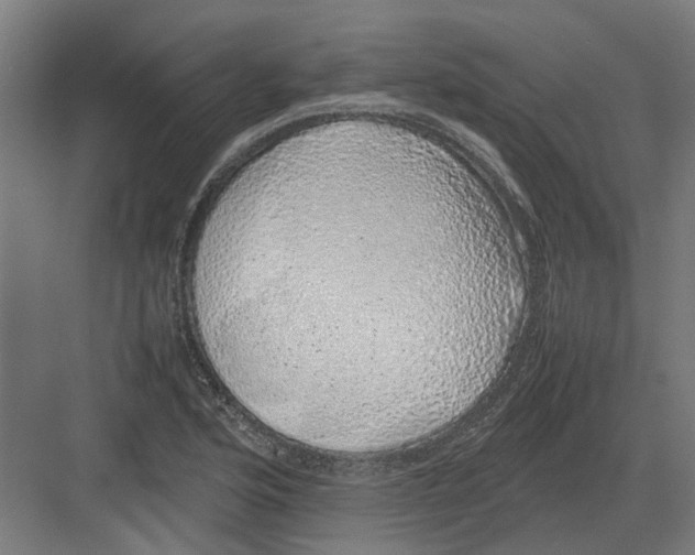 X0000082141176200702162135