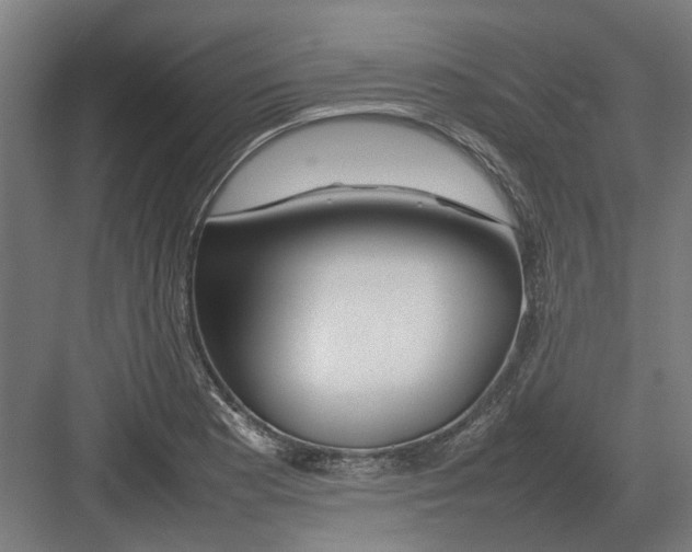 X0000082141177200702162135