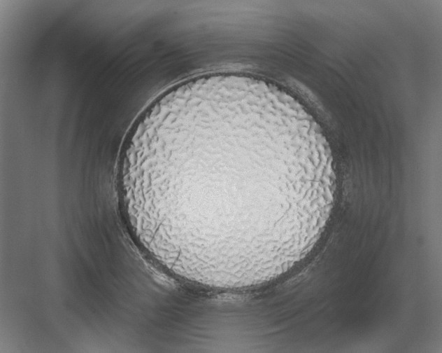 X0000082141178200702162135