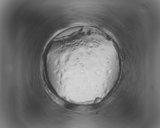 X0000082141179200702162135