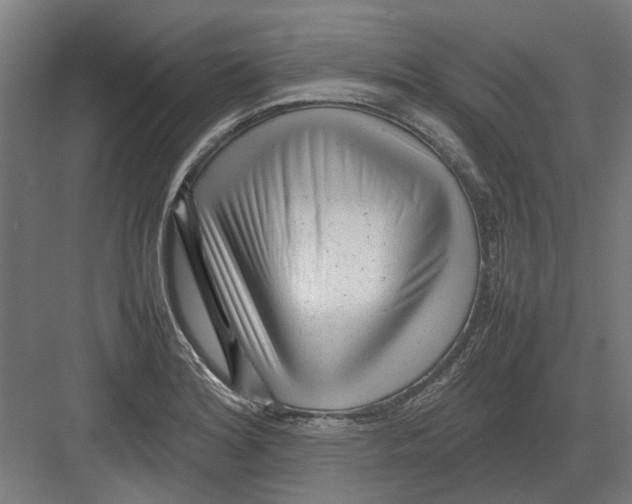 X0000082141180200702162135