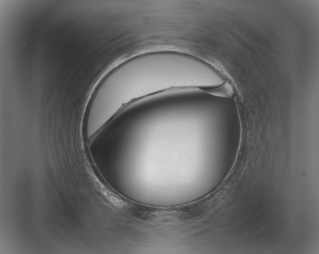 X0000082141181200702162135