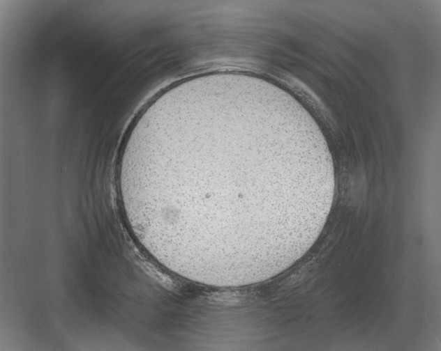 X0000082141182200702162135