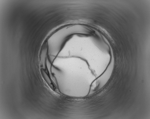 X0000082141184200702162135