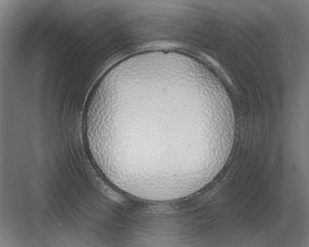 X0000082141186200702162135