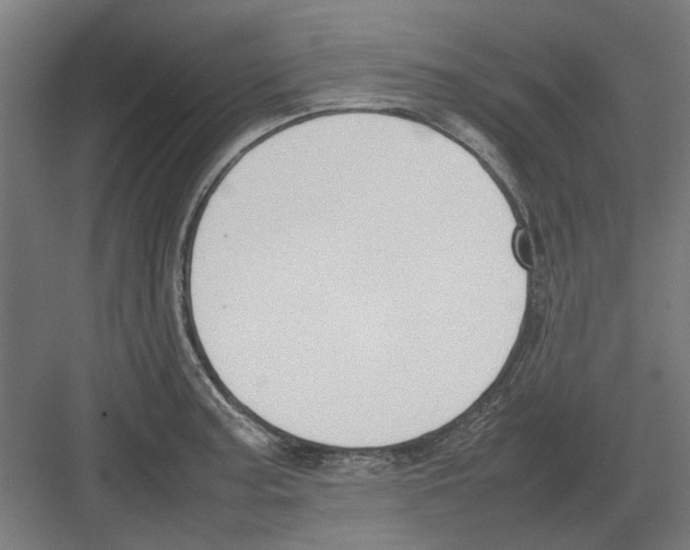 X0000082141187200702162135