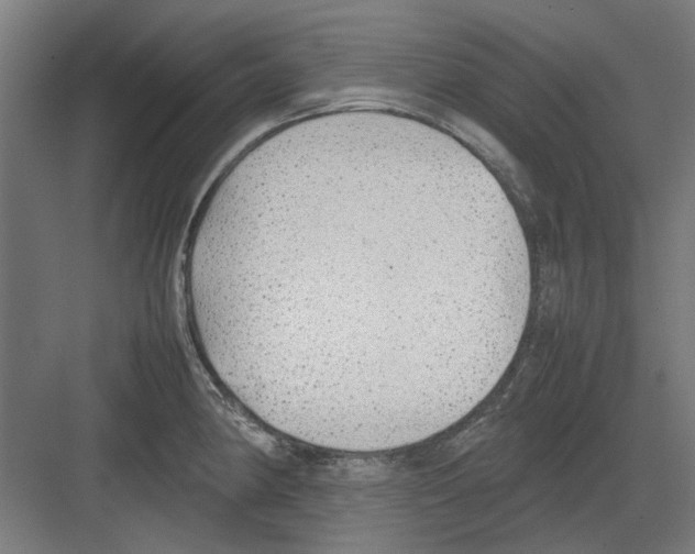 X0000082141190200702162135