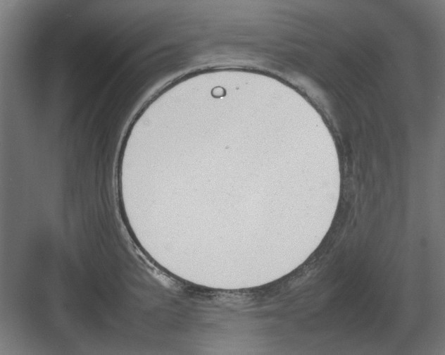 X0000082141191200702162135