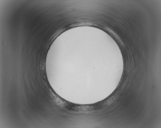 X0000082141193200702162135