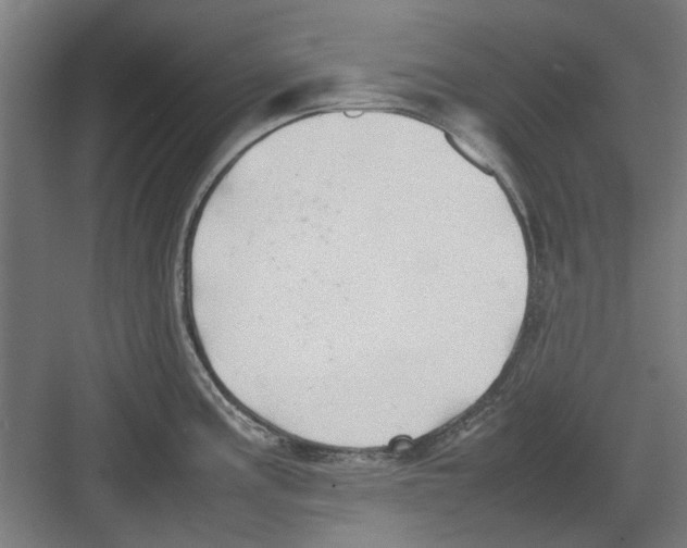 X0000082141195200702162135