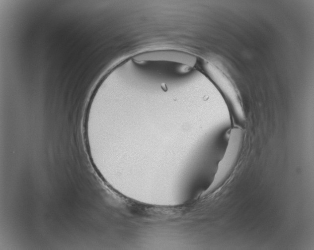 X0000082141197200702162134