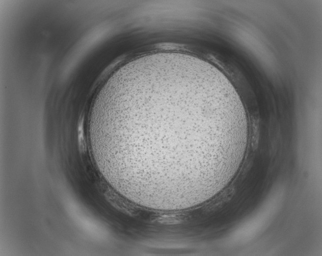 X0000082141198200702162134