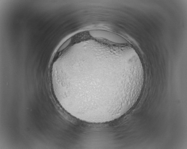 X0000082141200200702162134