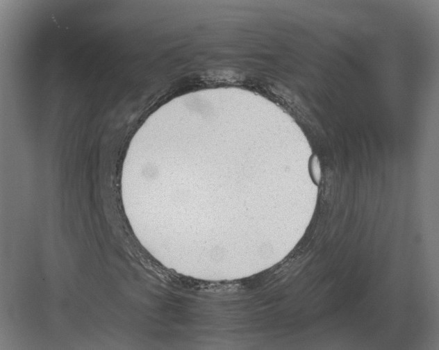 X0000082141201200702162134