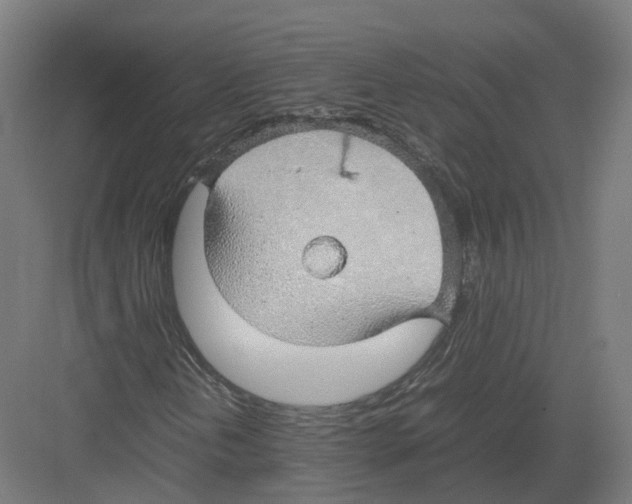 X0000082141202200702162134