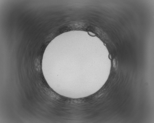 X0000082141203200702162134